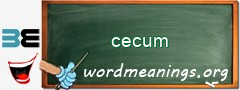 WordMeaning blackboard for cecum